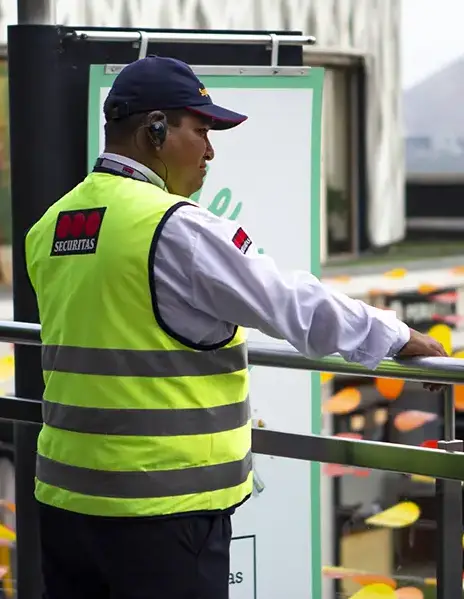 SEAD0187 Vigilancia en centros comerciales